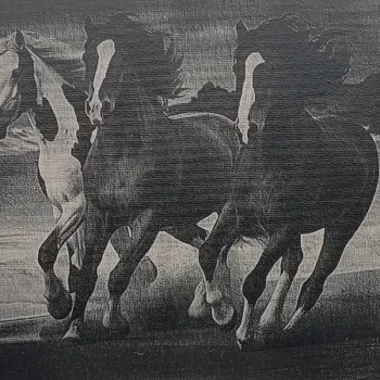 Chevaux au galop