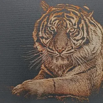 Tigre sur toile